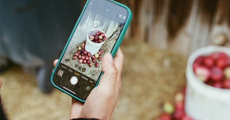 picture-1-1762504856-364-width740height388